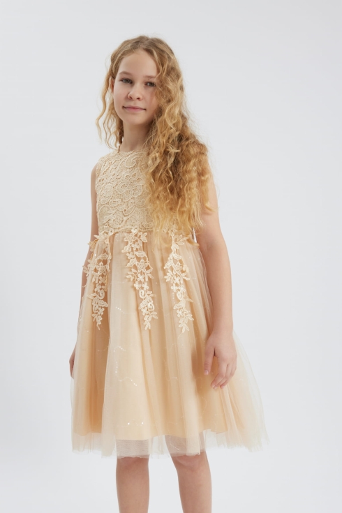 dječja haljina, svečana haljina, haljina za djevojčice, Evelina haljina, elegantna haljina, šampanj boja, haljina s čipkom, haljina sa šljokicama, haljina za posebne prilike
