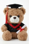 diplomski medo, plišani medo diploma, poklon za diplomiranje, suvenir završetka škole, plišani medvjedić diploma, medo maturant, medo student, dar za diplomca