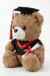 diplomski medo, plišani medo diploma, poklon za diplomiranje, suvenir završetka škole, plišani medvjedić diploma, medo maturant, medo student, dar za diplomca